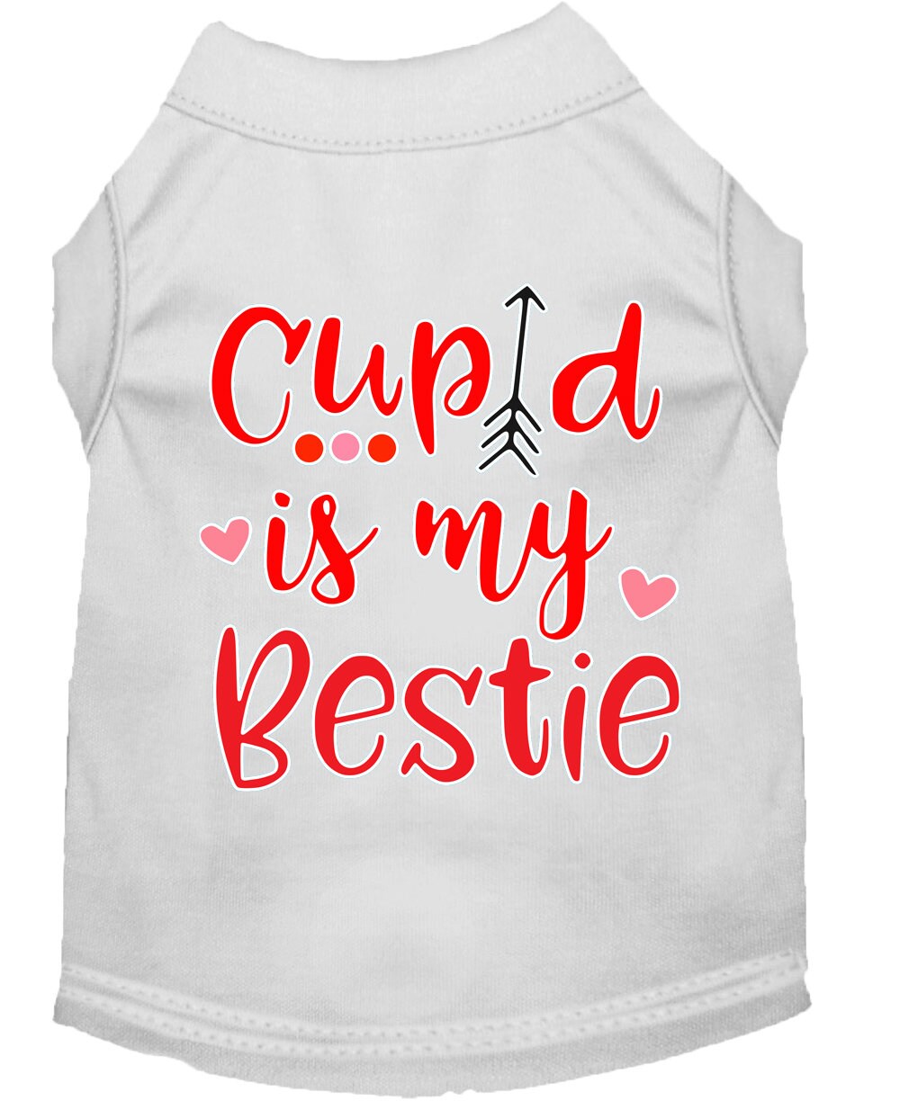 Valentine's Day Pet Shirts