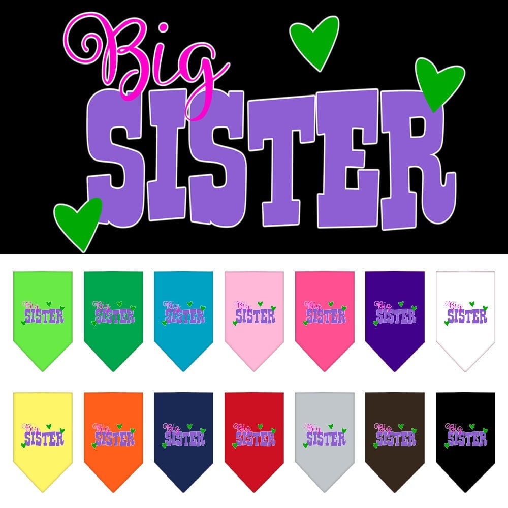 Family Fun Pet Bandanas