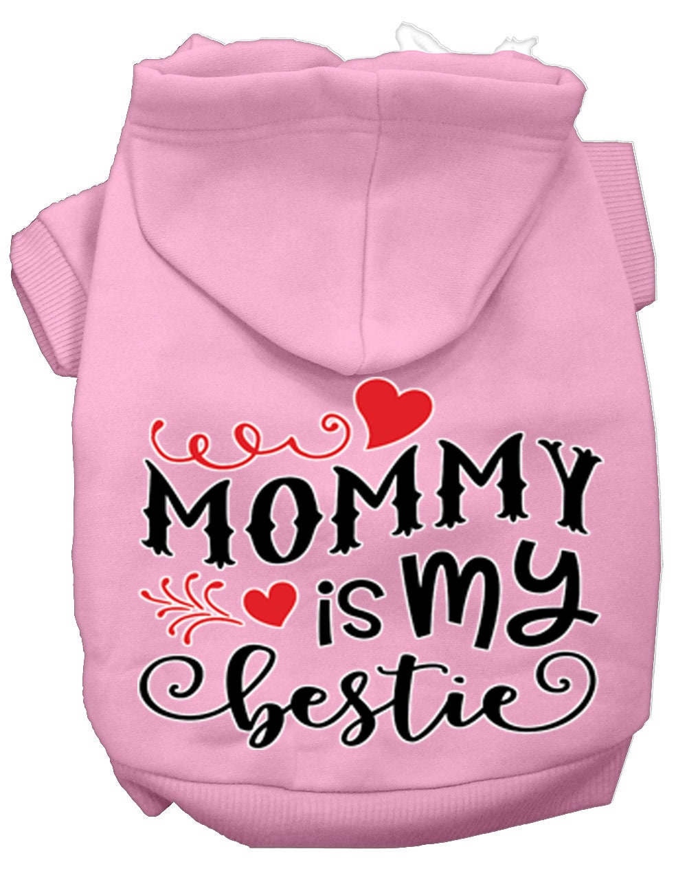 Family Fun Pet Hoodies