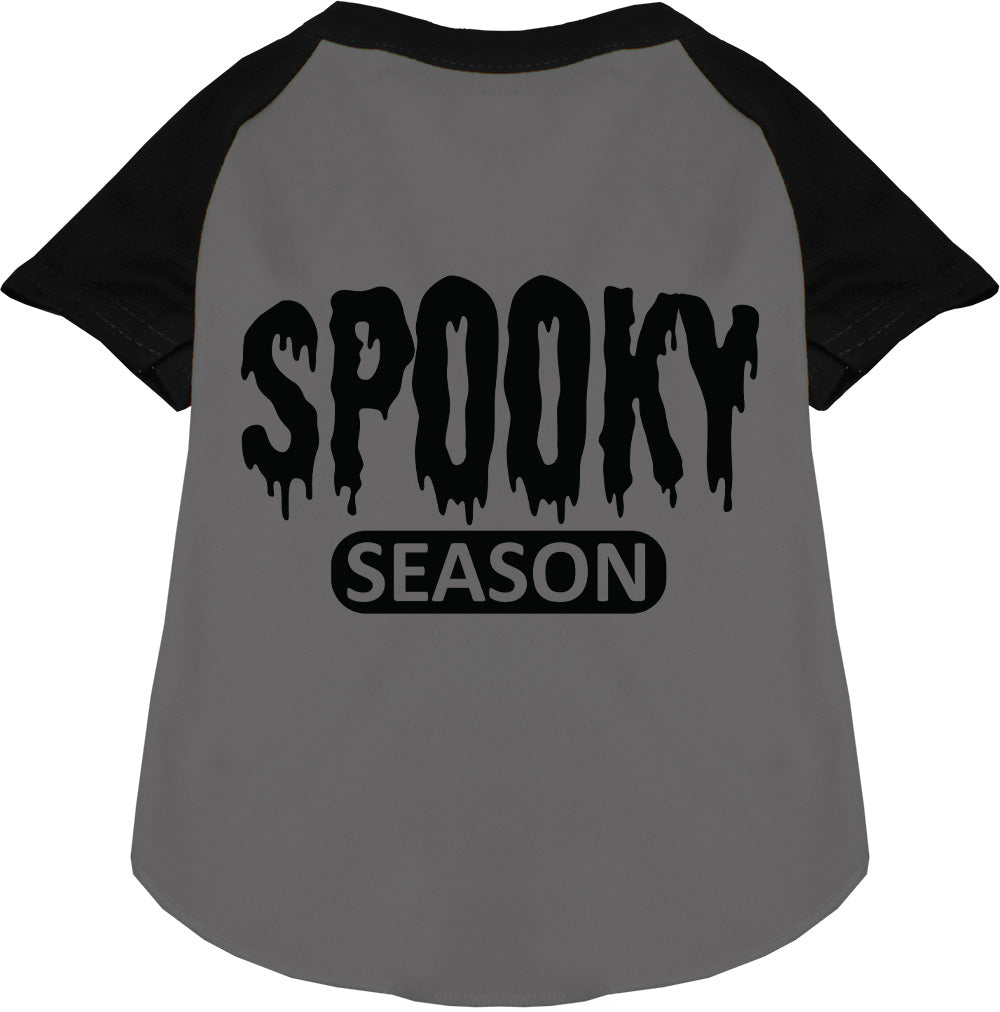 Gray and black spooky season pet raglan shirt