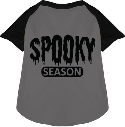 Gray and black spooky season pet raglan shirt