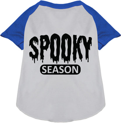 Gray and blue spooky season pet raglan shirt