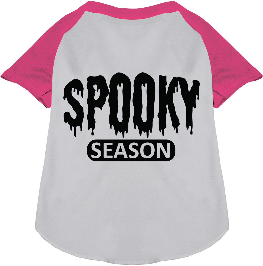 Gray and pink spooky season pet raglan shirt