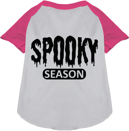 Gray and pink spooky season pet raglan shirt