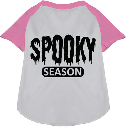 Gray and light pink spooky season pet raglan shirt