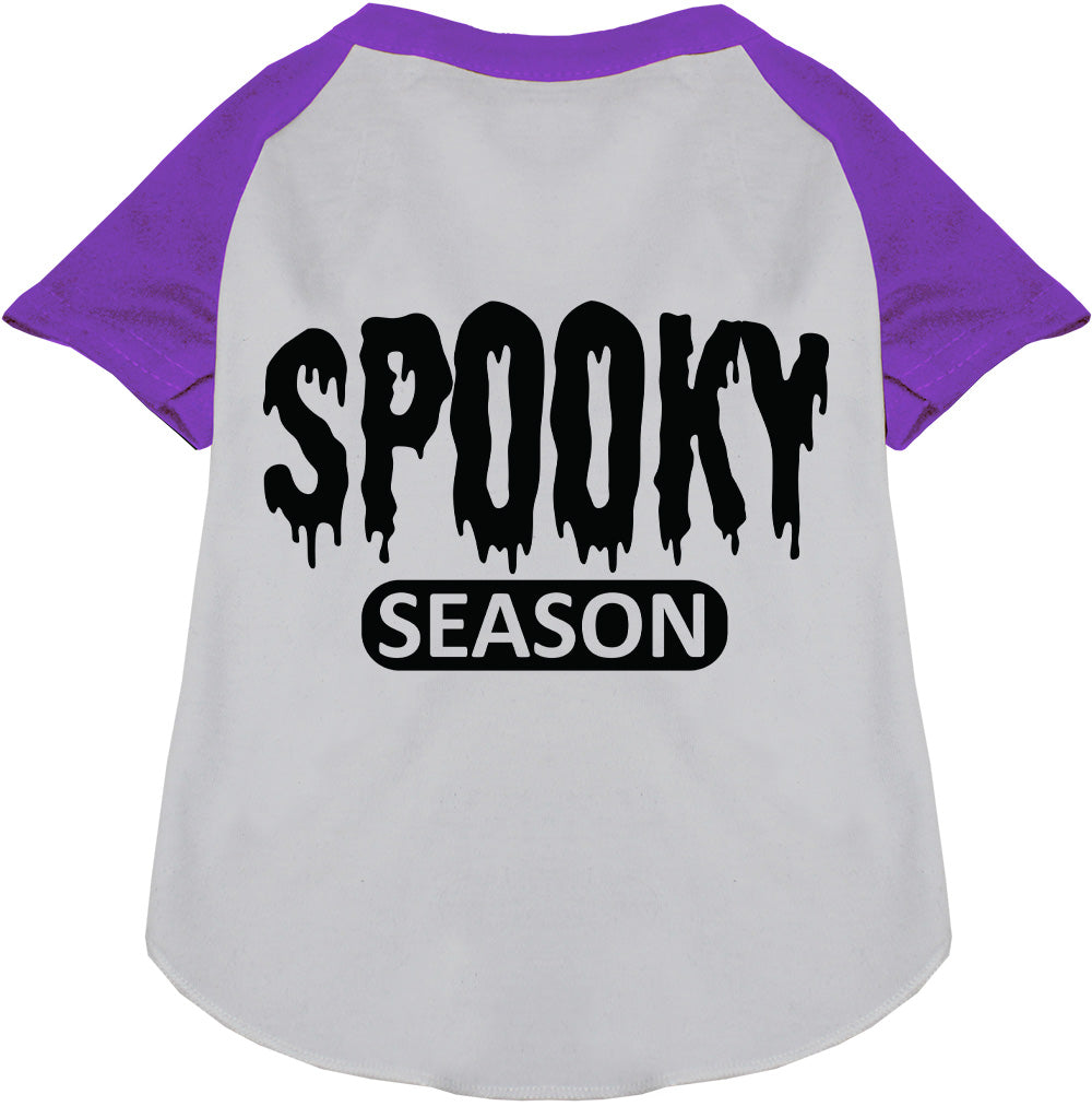 Gray and purple spooky season pet raglan shirt