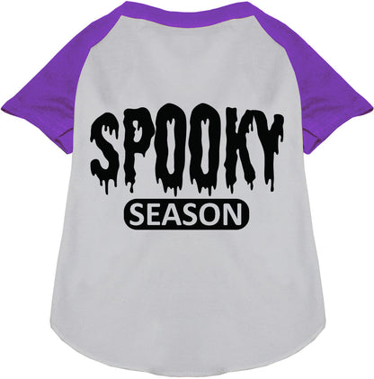 Gray and purple spooky season pet raglan shirt