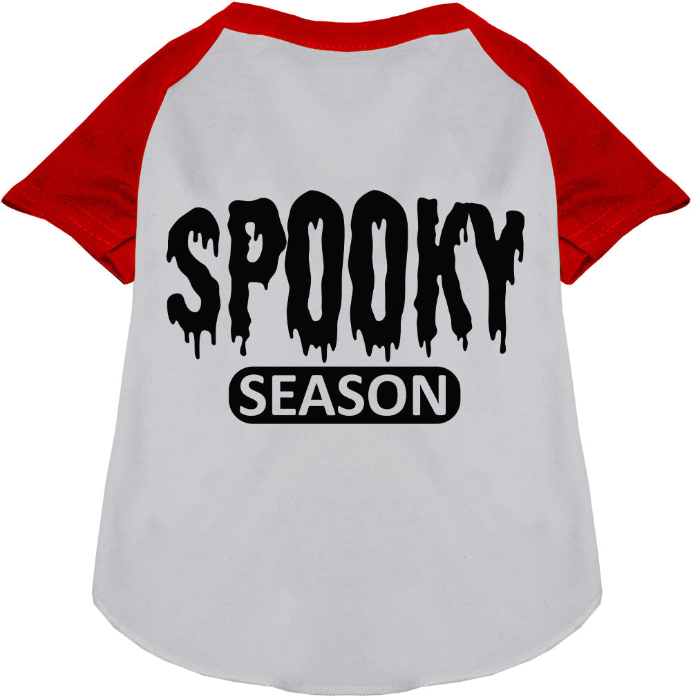 Gray and red spooky season pet raglan shirt