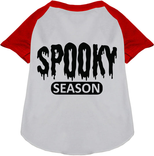 Gray and red spooky season pet raglan shirt