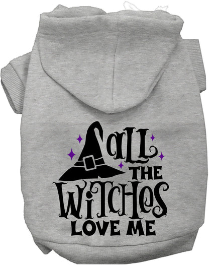 Gray pet hoodie with 'All the Witches Love Me!' design
