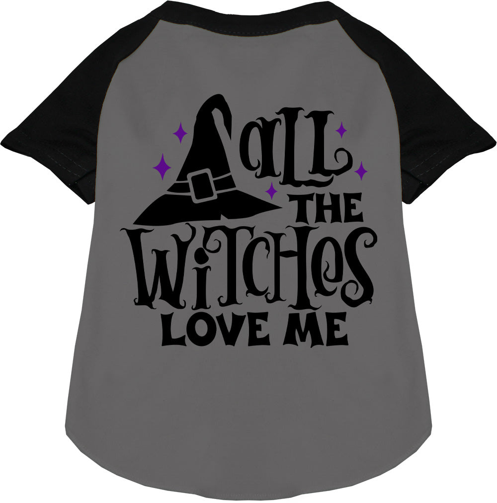 Black sleeve pet raglan shirt with witch hat design
