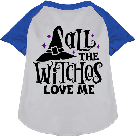Blue sleeve pet raglan shirt with witch hat design