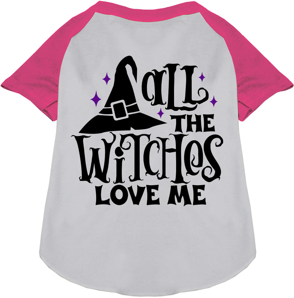 Pink sleeve pet raglan shirt with witch hat design