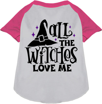 Pink sleeve pet raglan shirt with witch hat design