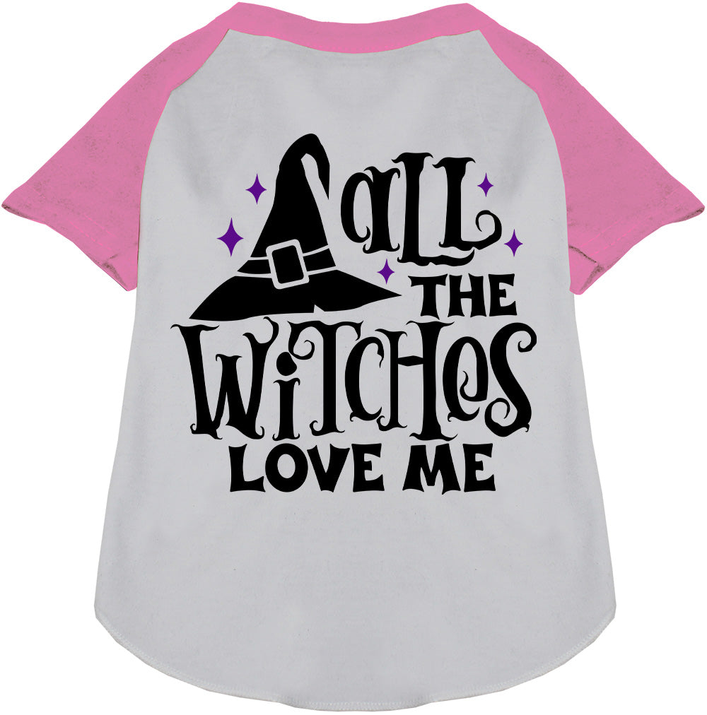 Light pink sleeve pet raglan shirt with witch hat design