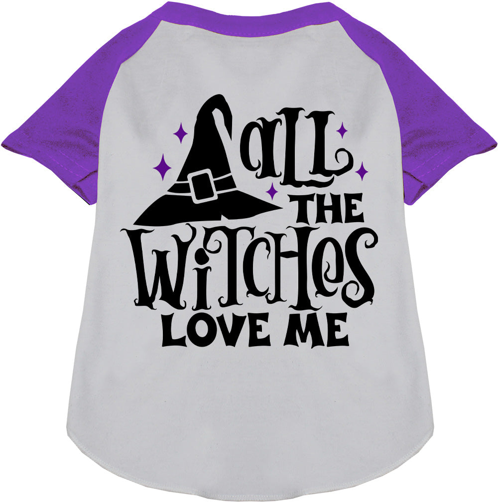 Purple sleeve pet raglan shirt with witch hat design