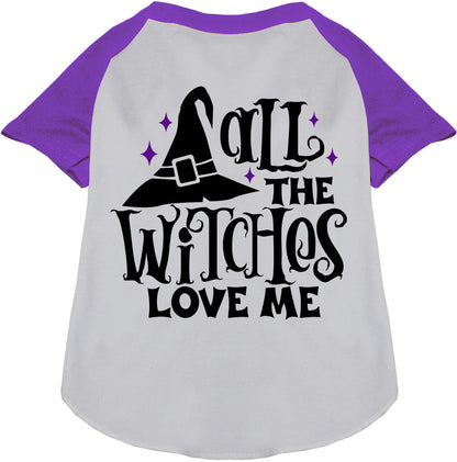 Purple sleeve pet raglan shirt with witch hat design