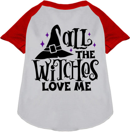 Red sleeve pet raglan shirt with witch hat design