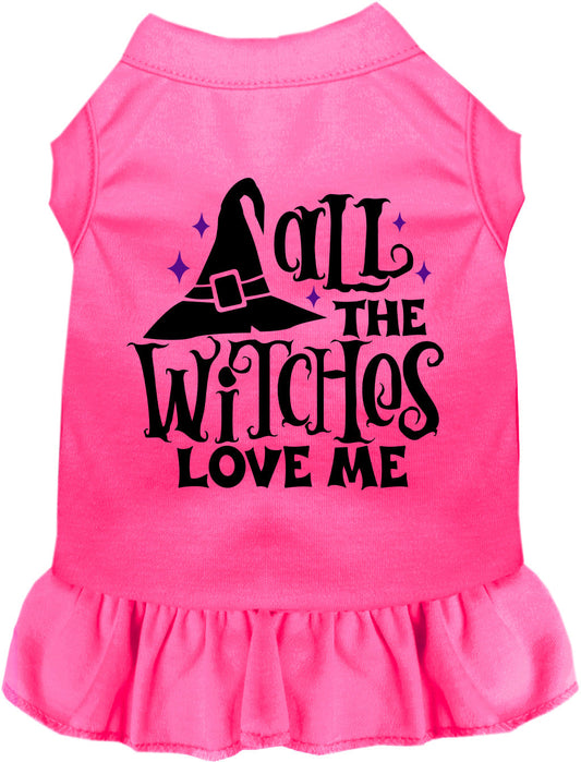Pink pet dress with 'All the Witches Love Me' design