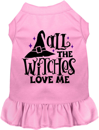 Light pink pet dress with 'All the Witches Love Me' design