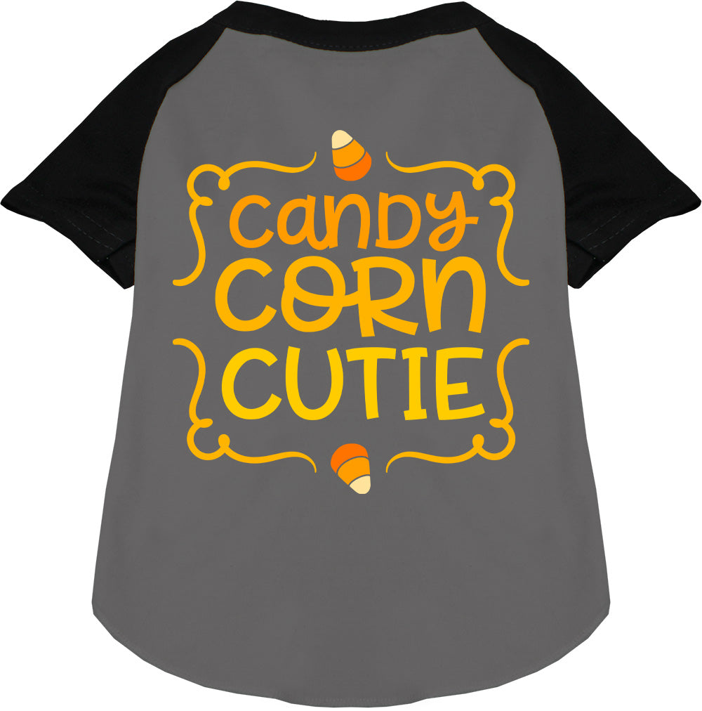 Gray Candy Corn Cutie pet raglan shirt with black sleeves