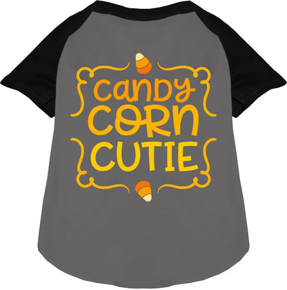 Gray Candy Corn Cutie pet raglan shirt with black sleeves
