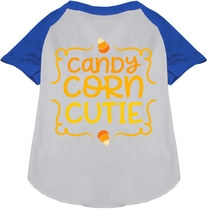 White Candy Corn Cutie pet raglan shirt with blue sleeves