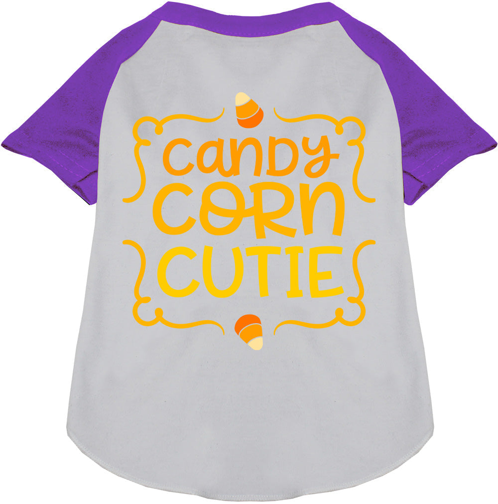 White Candy Corn Cutie pet raglan shirt with purple sleeves