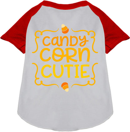 White Candy Corn Cutie pet raglan shirt with red sleeves