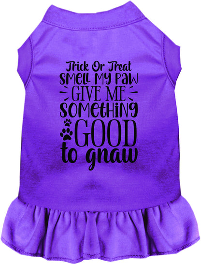 Purple Good to Gnaw Pet Dress with Halloween design