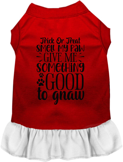Red and white Good to Gnaw Pet Dress with Halloween design
