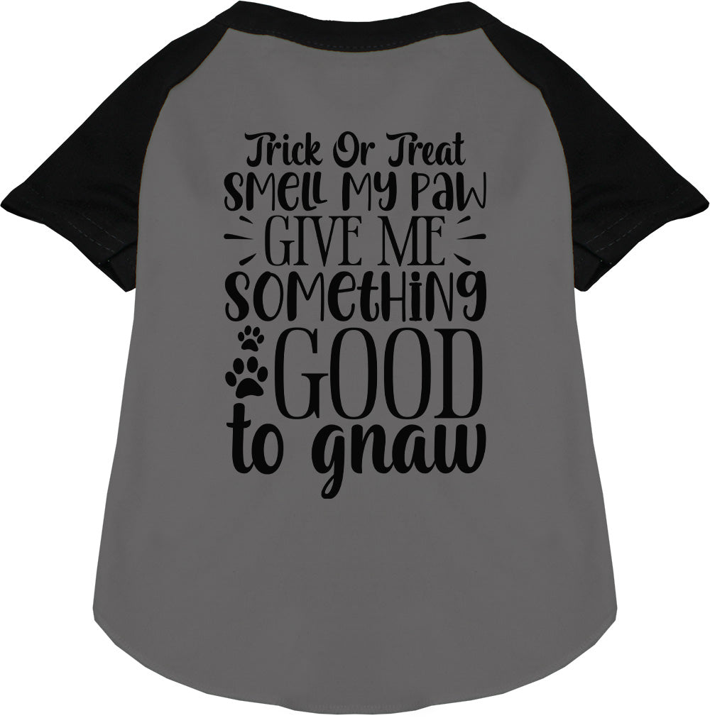 Black sleeve Good to Gnaw pet raglan shirt