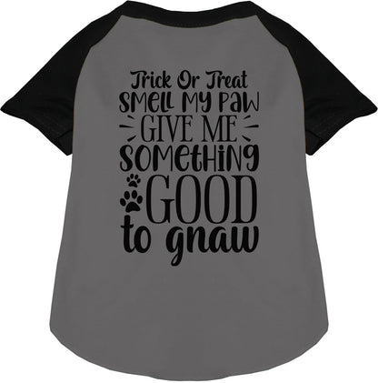 Black sleeve Good to Gnaw pet raglan shirt