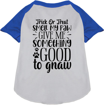 Blue sleeve Good to Gnaw pet raglan shirt