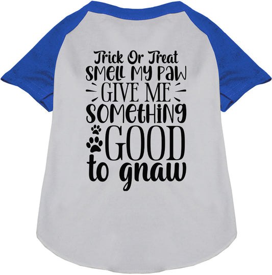 Blue sleeve Good to Gnaw pet raglan shirt