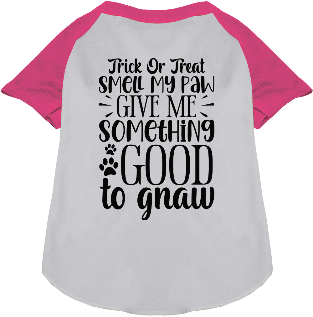Pink sleeve Good to Gnaw pet raglan shirt