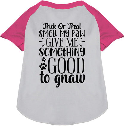 Pink sleeve Good to Gnaw pet raglan shirt