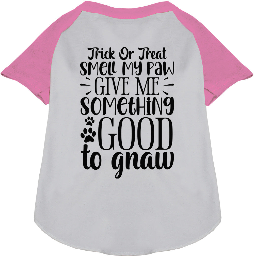 Light pink sleeve Good to Gnaw pet raglan shirt