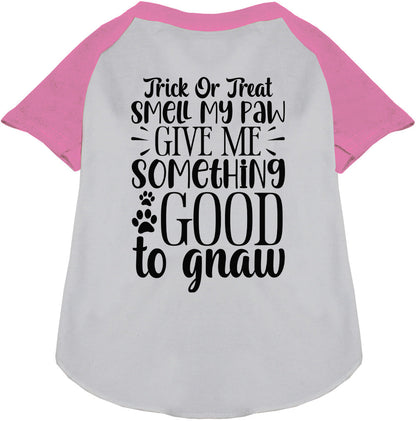 Light pink sleeve Good to Gnaw pet raglan shirt