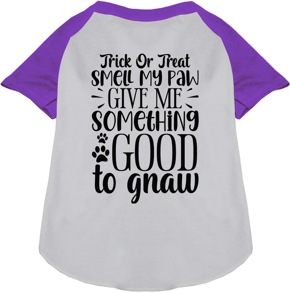 Purple sleeve Good to Gnaw pet raglan shirt