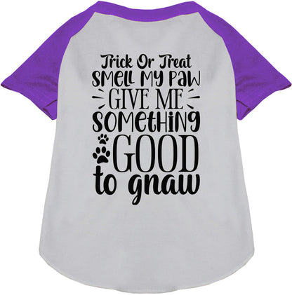 Purple sleeve Good to Gnaw pet raglan shirt