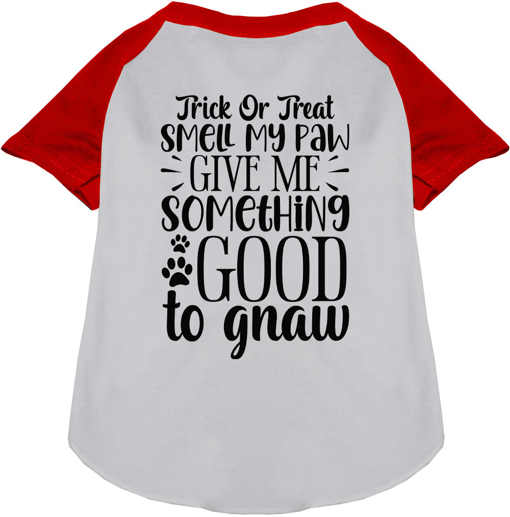 Red sleeve Good to Gnaw pet raglan shirt