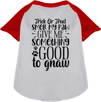 Red sleeve Good to Gnaw pet raglan shirt