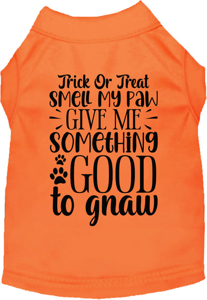 Orange Good to Gnaw pet shirt with Halloween theme