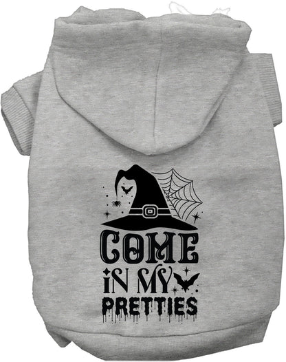 Gray Come In My Pretties pet hoodie