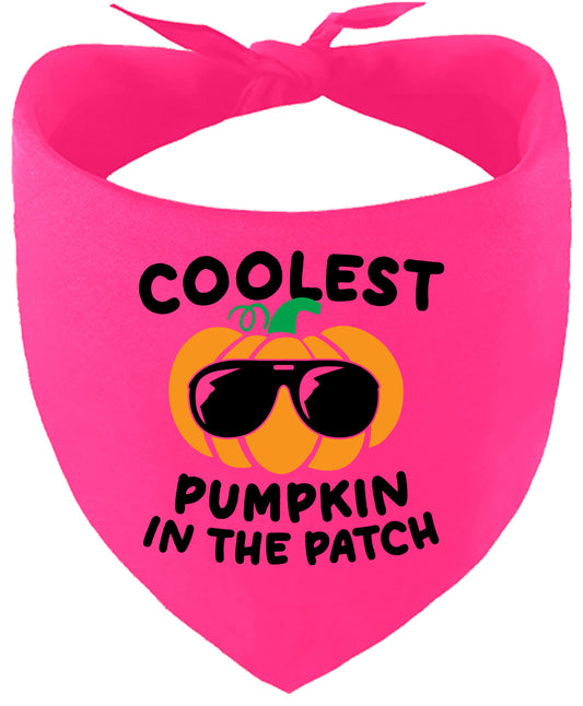 Coolest Pumpkin Pet Bandana