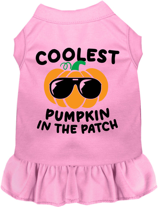 Pink pumpkin pet dress with sunglasses design