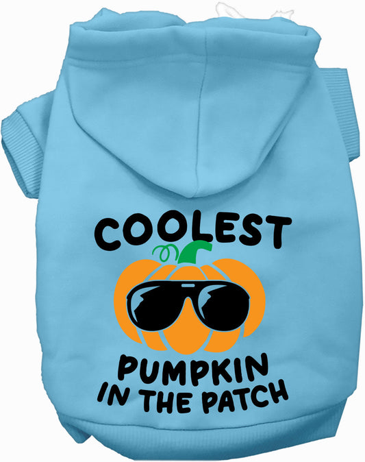 Light blue pumpkin pet hoodie with sunglasses design