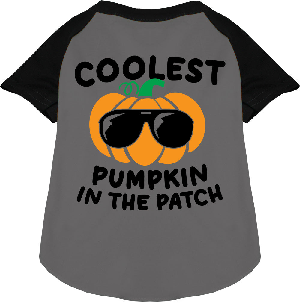 Black Coolest Pumpkin Pet Raglan Shirt