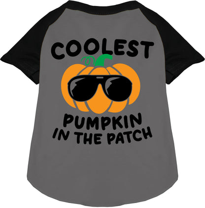 Black Coolest Pumpkin Pet Raglan Shirt